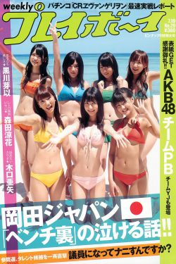 变形金刚2完整版
